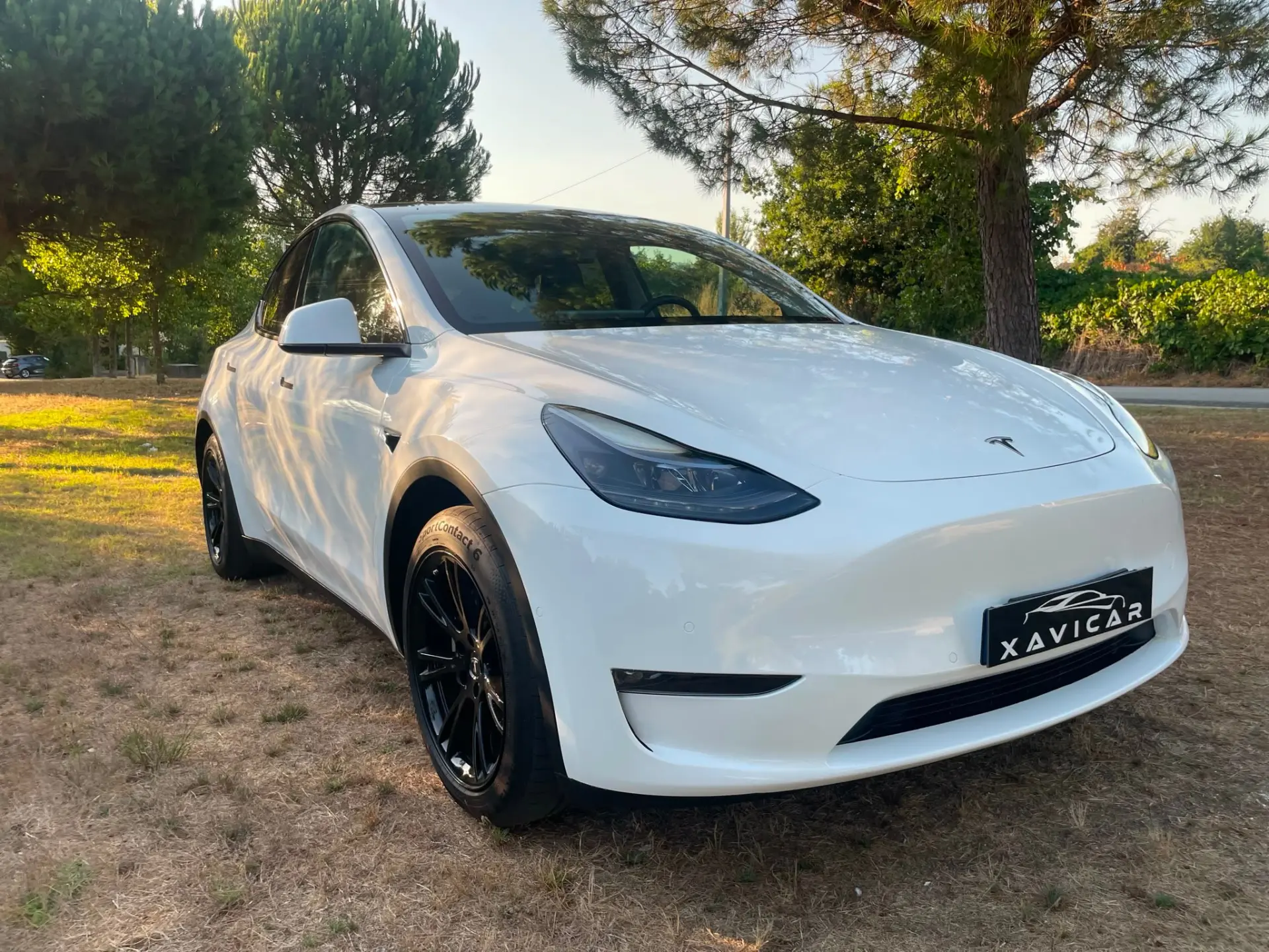 Tesla Model Y Long Range Dual Motor AWD 29