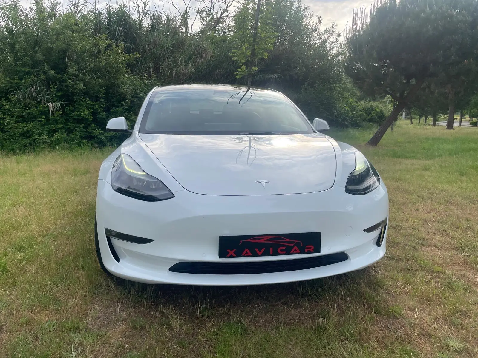 Tesla Model 3 Performance Dual Motor AWD 38