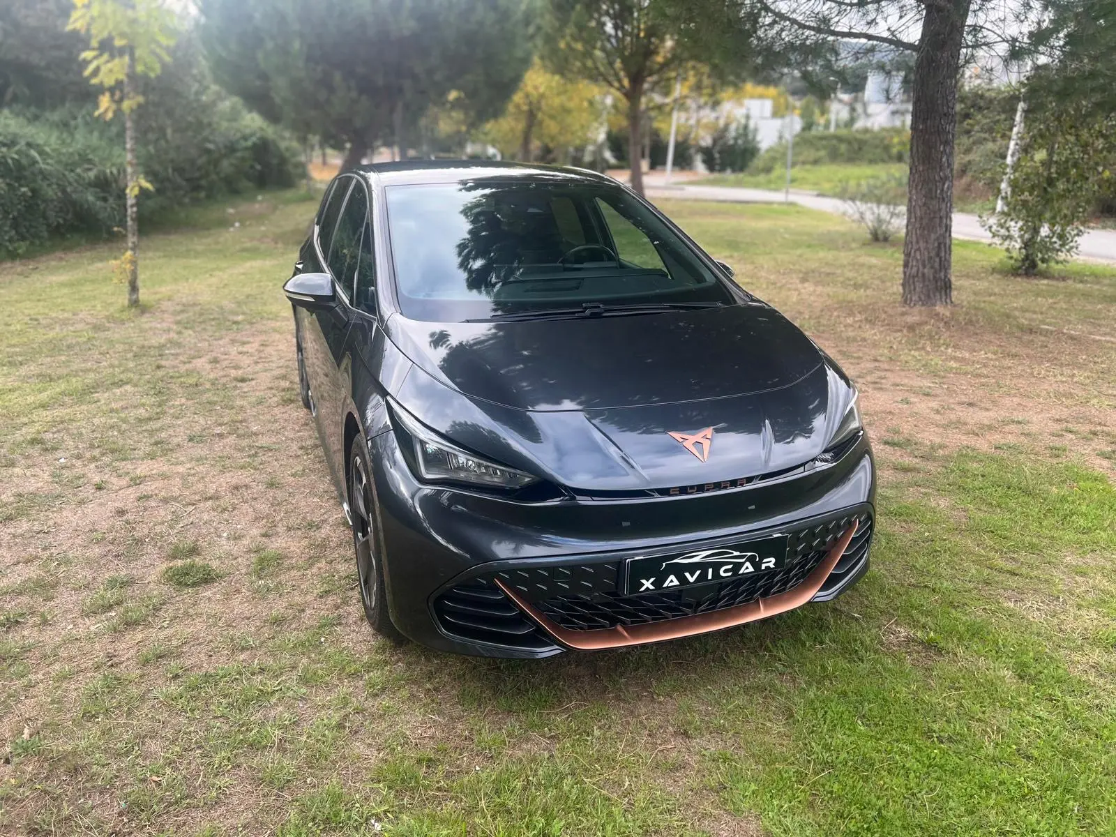 Cupra Born 170kW/77kWh 1