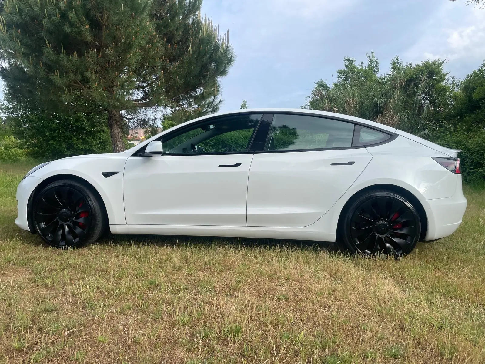 Tesla Model 3 Performance Dual Motor AWD 4