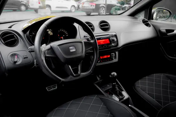 SEAT Ibiza Cupra 15