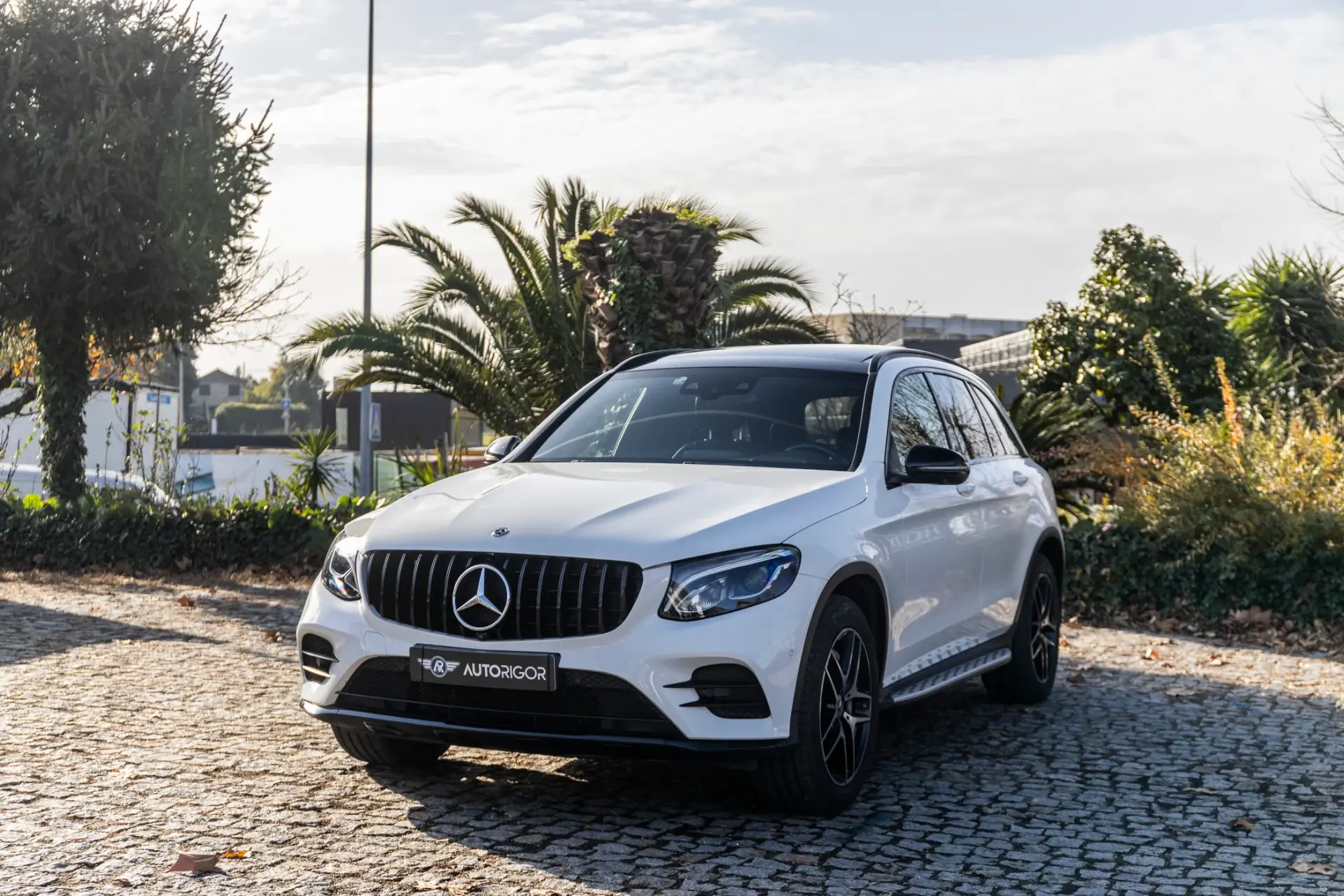 Mercedes-Benz GLC 250 d AMG Line 4-Matic 2