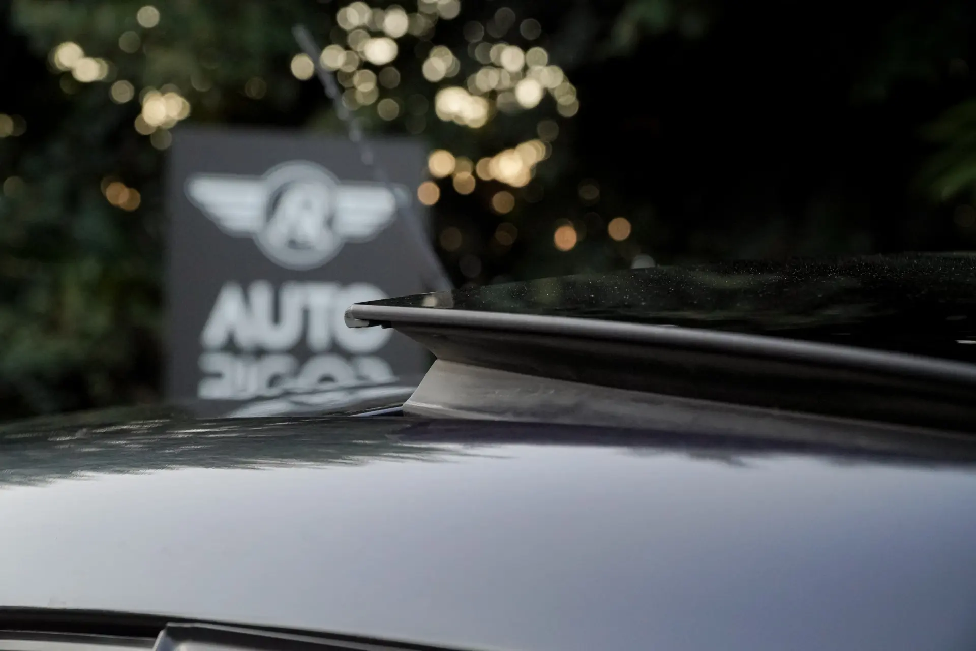 SEAT Ibiza Cupra 12