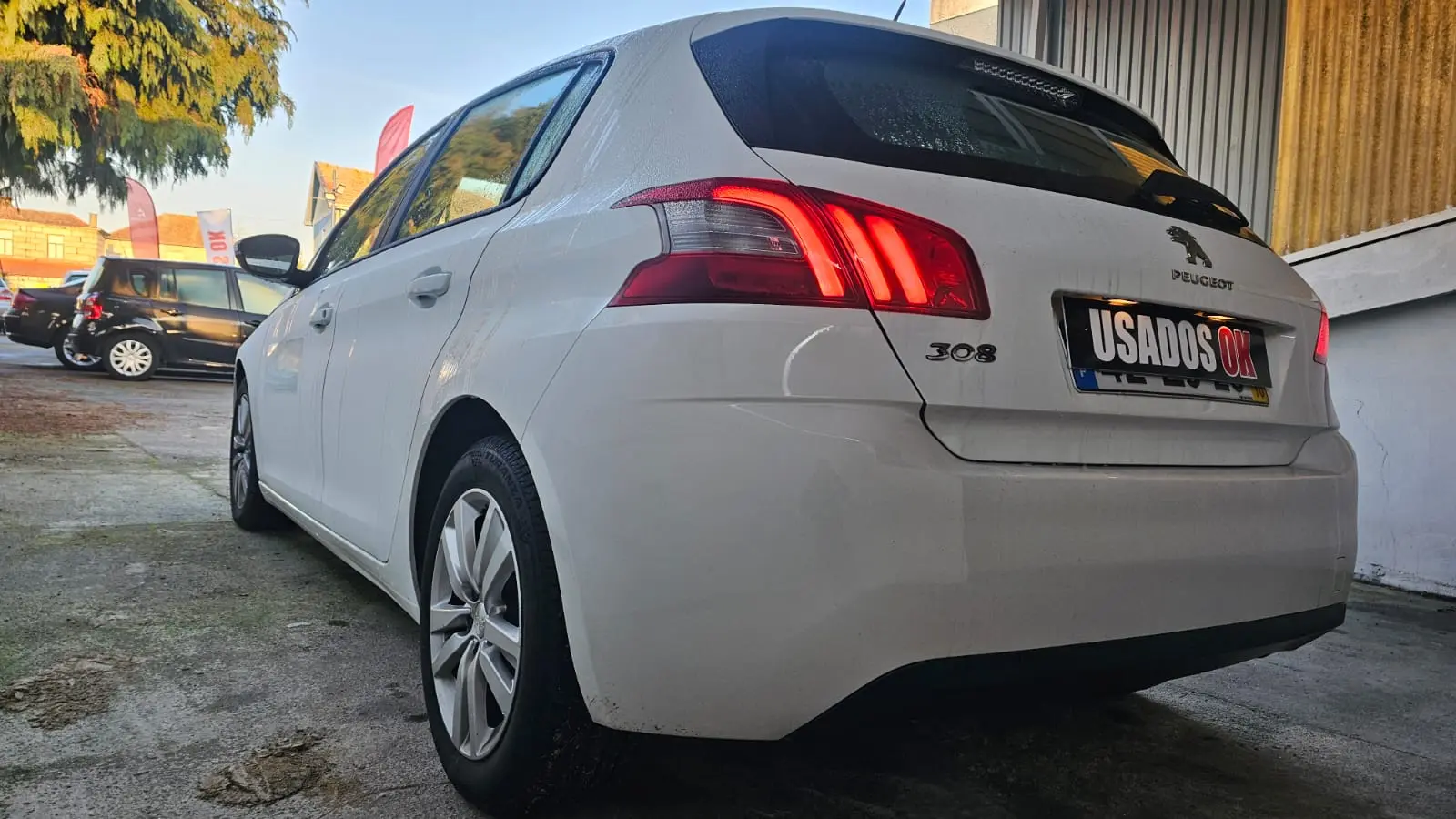 Peugeot 308 1.5 BlueHDi Style 12