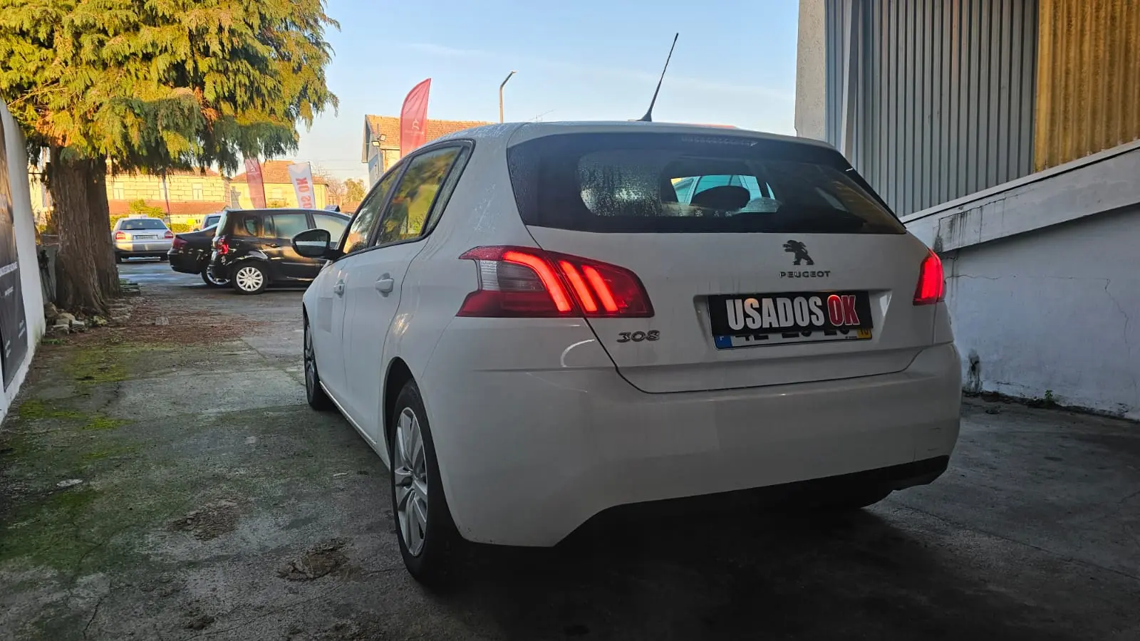 Peugeot 308 1.5 BlueHDi Style 8