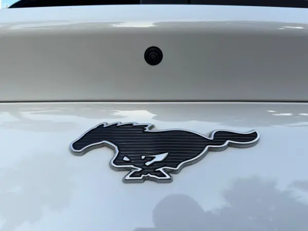 Ford Mustang Mach-E Standard 55