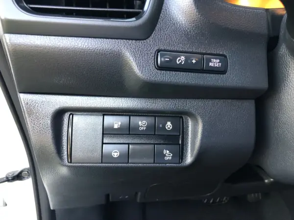 Nissan Leaf Tekna Two Tone 18