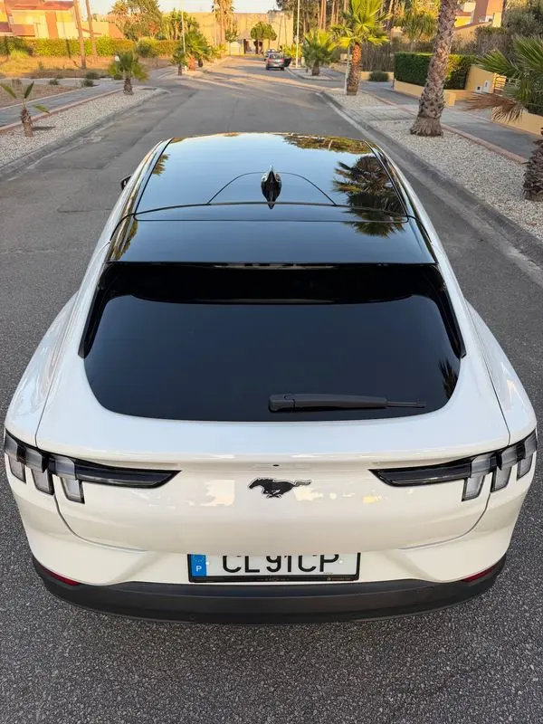Ford Mustang Mach-E Standard 46