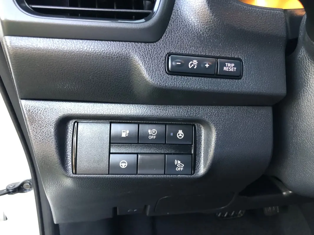 Nissan Leaf Tekna Two Tone 18