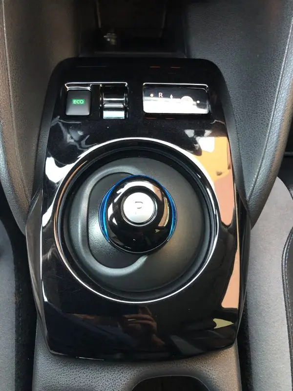 Nissan Leaf Tekna Two Tone 24
