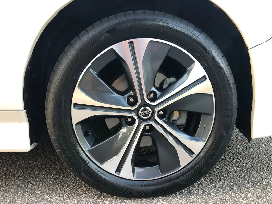 Nissan Leaf Tekna Two Tone 30