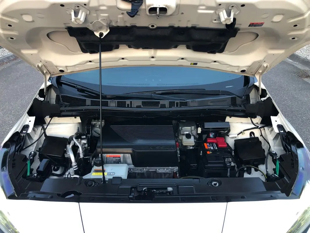 Nissan Leaf Tekna Two Tone 33
