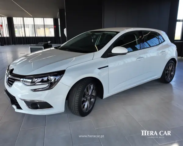 Renault Mégane Outro 5