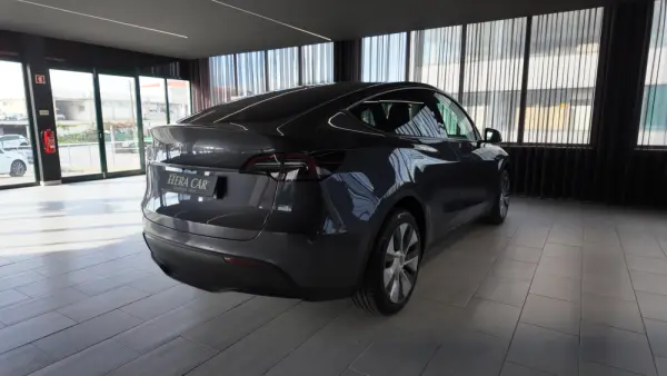 Tesla Model Y Long Range Tração Integral Premium 6