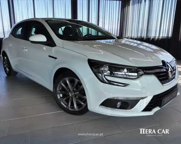 Renault Mégane Outro 3