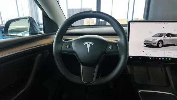Tesla Model Y Long Range Tração Integral Premium 18