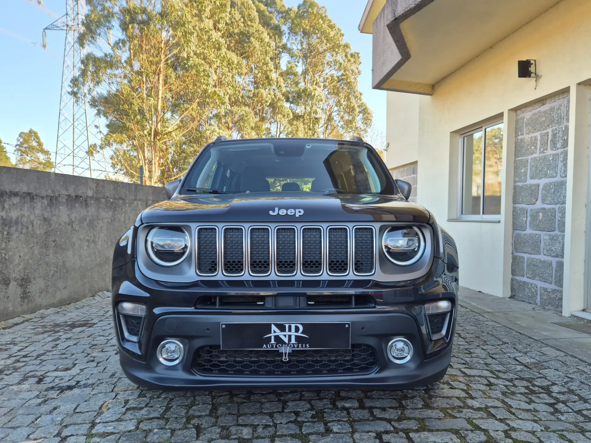 Jeep Renegade 1.0 T Limited 6