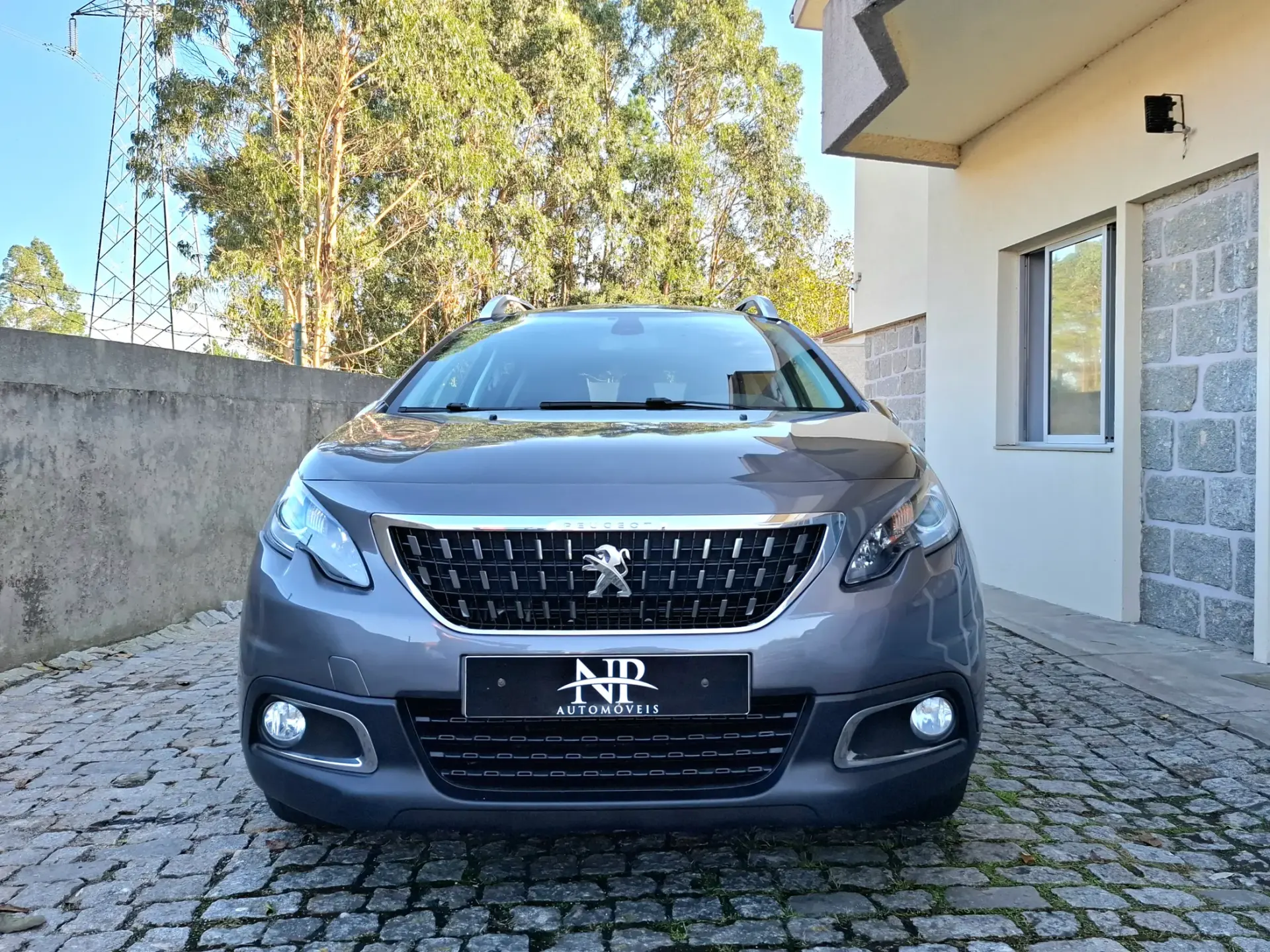 Peugeot 2008 1.5 BlueHDi Signature 6