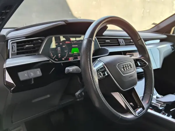 Audi e-tron 55 quattro S line 31