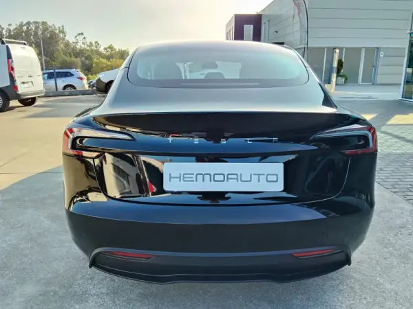 Tesla Model 3 single Motor 9