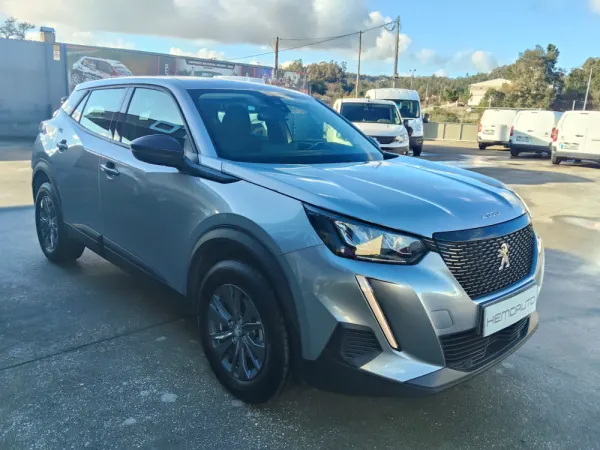 Peugeot 2008 1.5 BlueHDi Active Pack 8