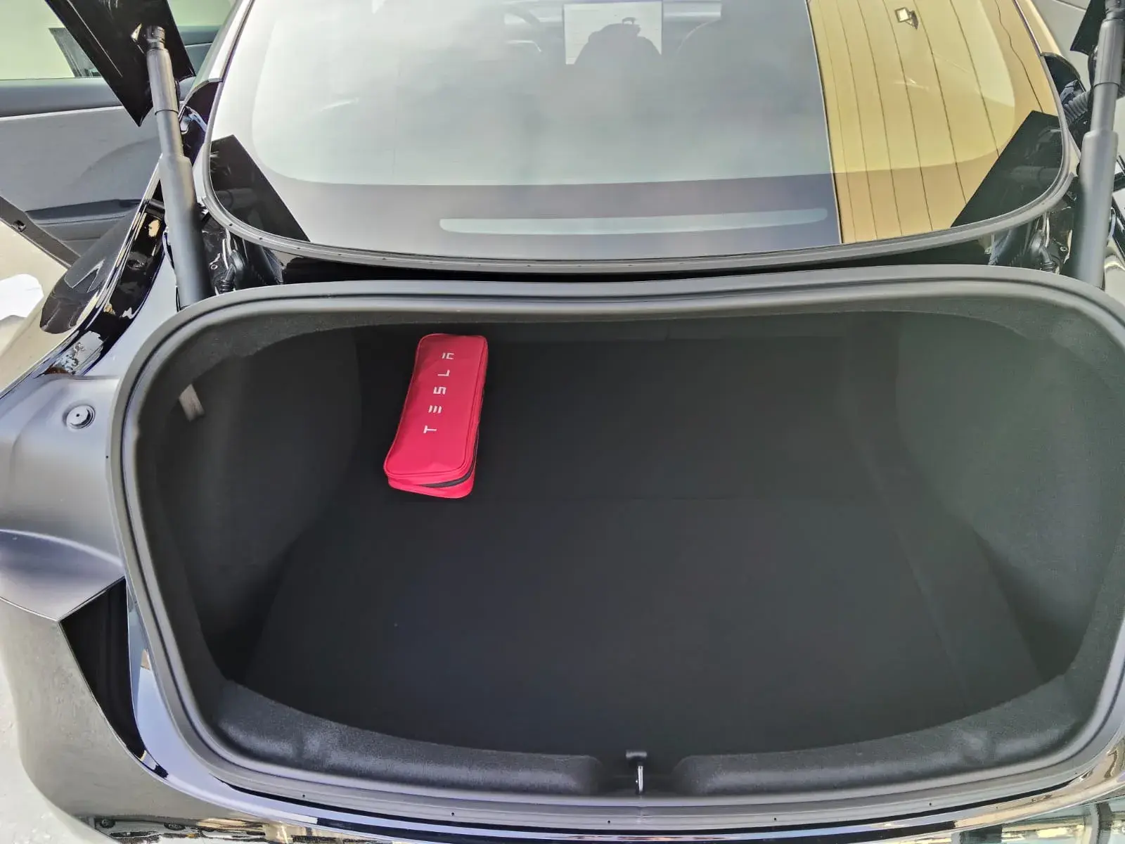 Tesla Model 3 single Motor 14