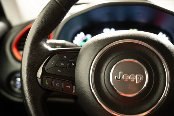 Jeep Renegade 1.3 TG Trailhawk 20