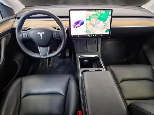 Tesla Model Y Long Range Tração Integral 3
