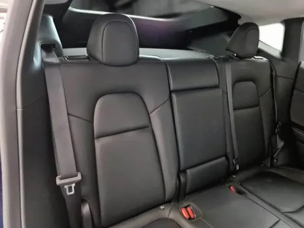 Tesla Model Y Long Range Tração Integral 6