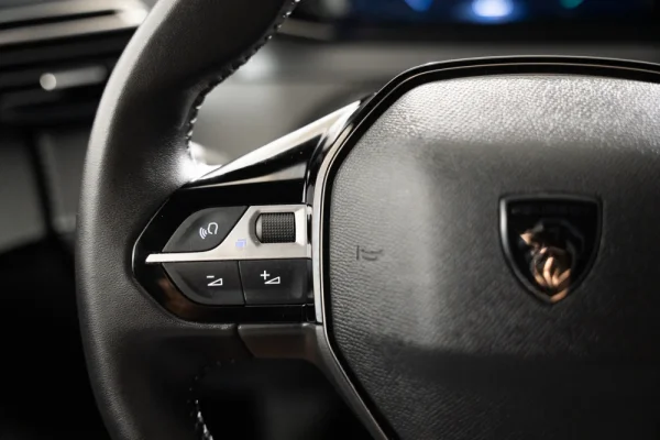 Peugeot e-2008 54 kWh Allure 13