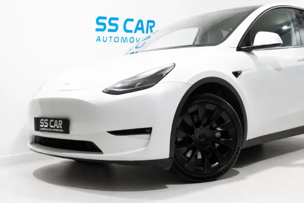 Tesla Model Y Long Range Tração Integral 2