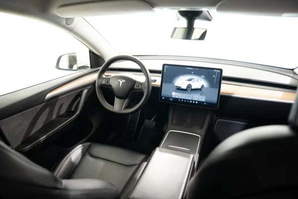 Tesla Model Y Long Range Tração Integral 9