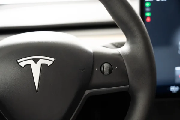 Tesla Model Y Long Range Tração Integral 14