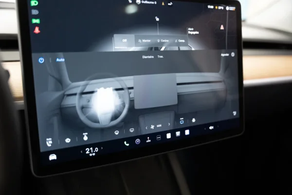 Tesla Model Y Long Range Tração Integral 18