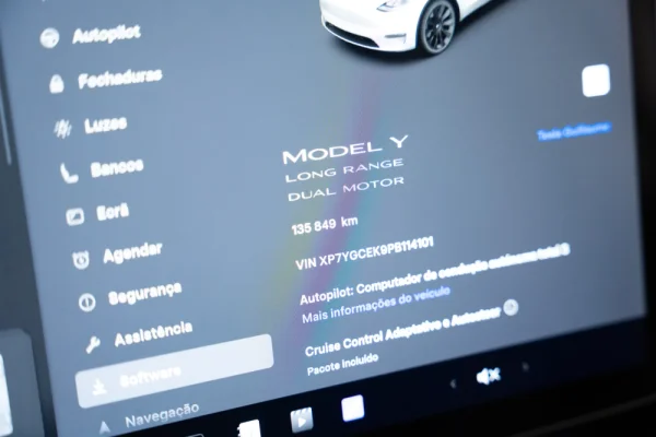 Tesla Model Y Long Range Tração Integral 26