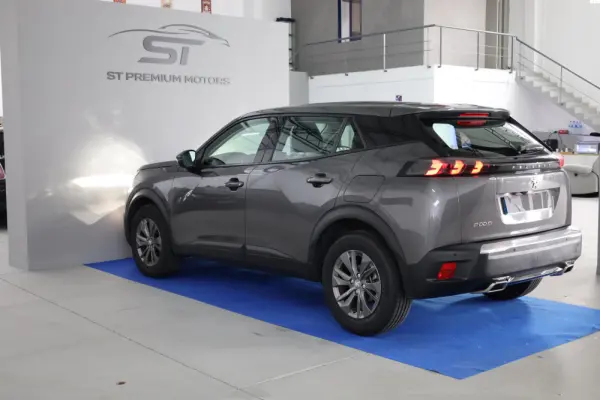 Peugeot 2008 Active Pack EAT8 22