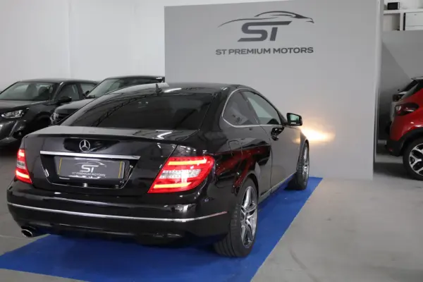 Mercedes-Benz C 220 CDI DPF (BlueEFFICIENCY) 20