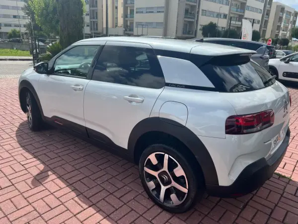 Citroën C4 Cactus shine 9