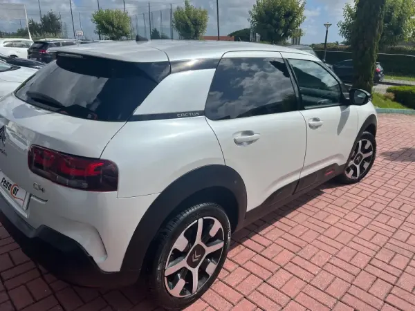 Citroën C4 Cactus shine 10