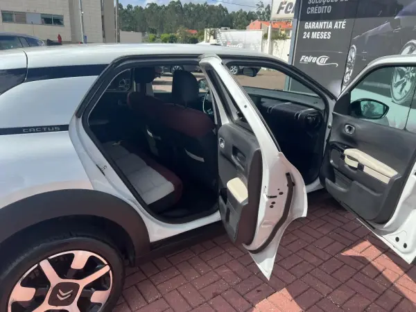 Citroën C4 Cactus shine 33