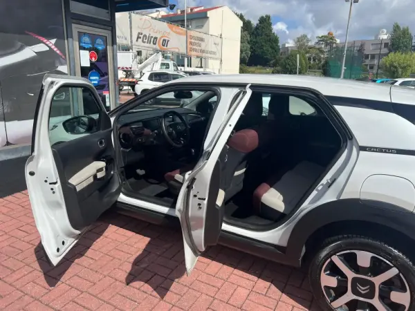 Citroën C4 Cactus shine 36