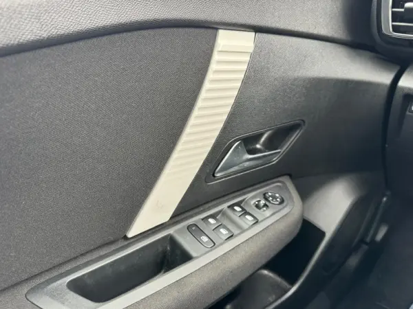 Citroën C4 1.5 BlueHDi Shine 29