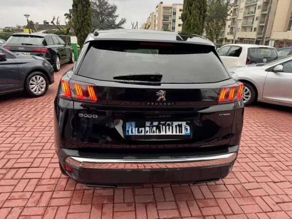 Peugeot 3008 1.6 Hybrid Allure Pack e-EAT8 12
