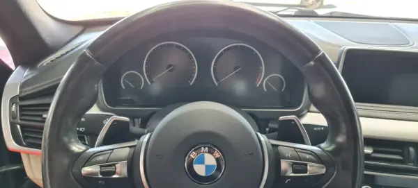 BMW X6 M M50 d xDrive 22