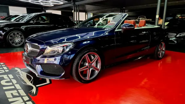 Mercedes-Benz C 250 d 31