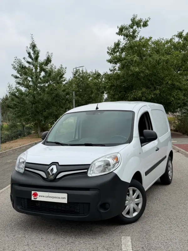 Renault Kangoo Outro 1