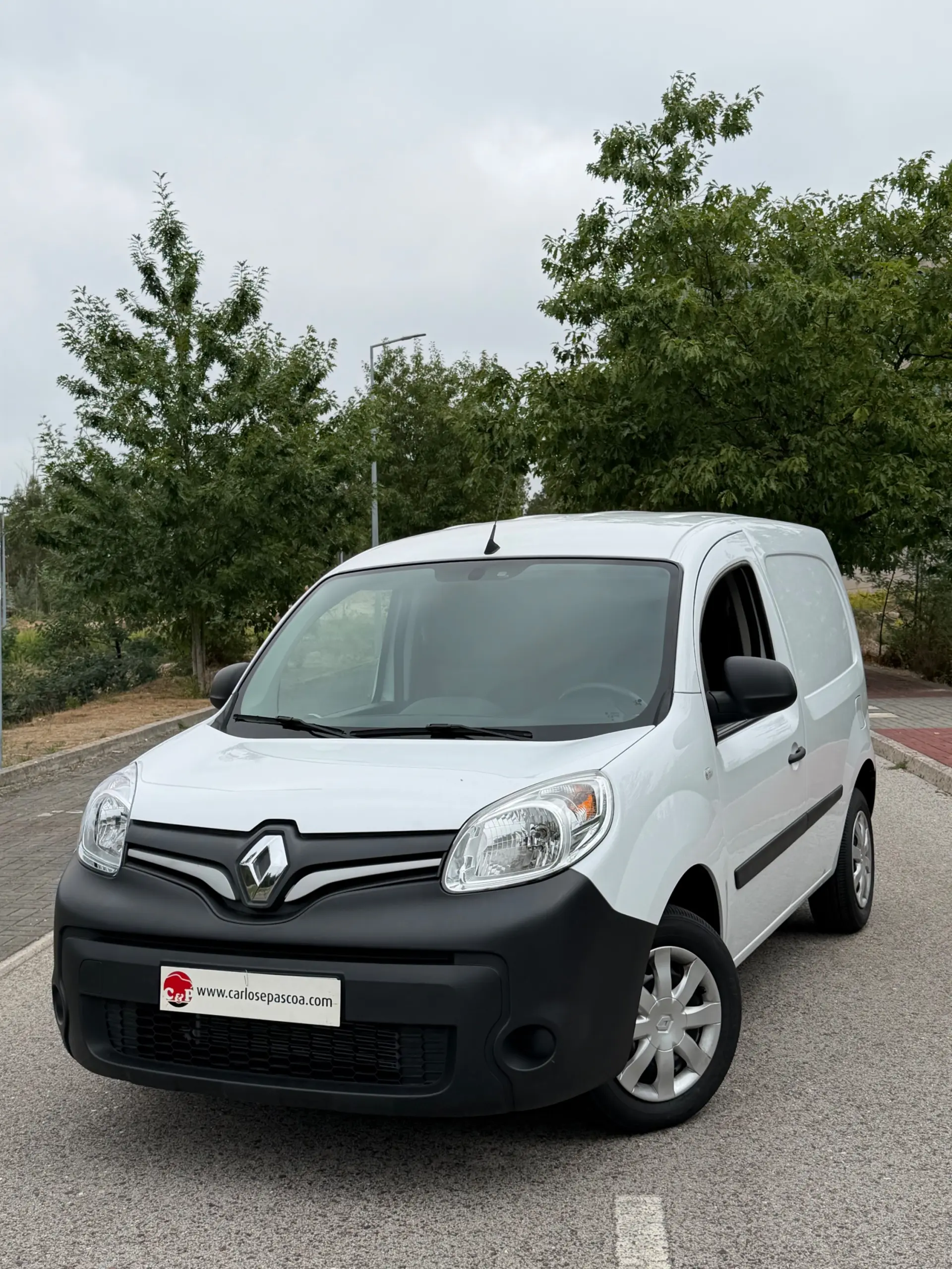 Renault Kangoo Outro 1