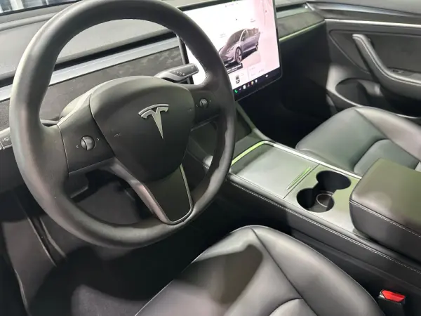 Tesla Model 3 Standard RWD Plus 19