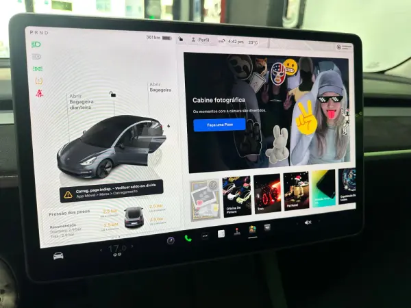 Tesla Model 3 Standard RWD Plus 22