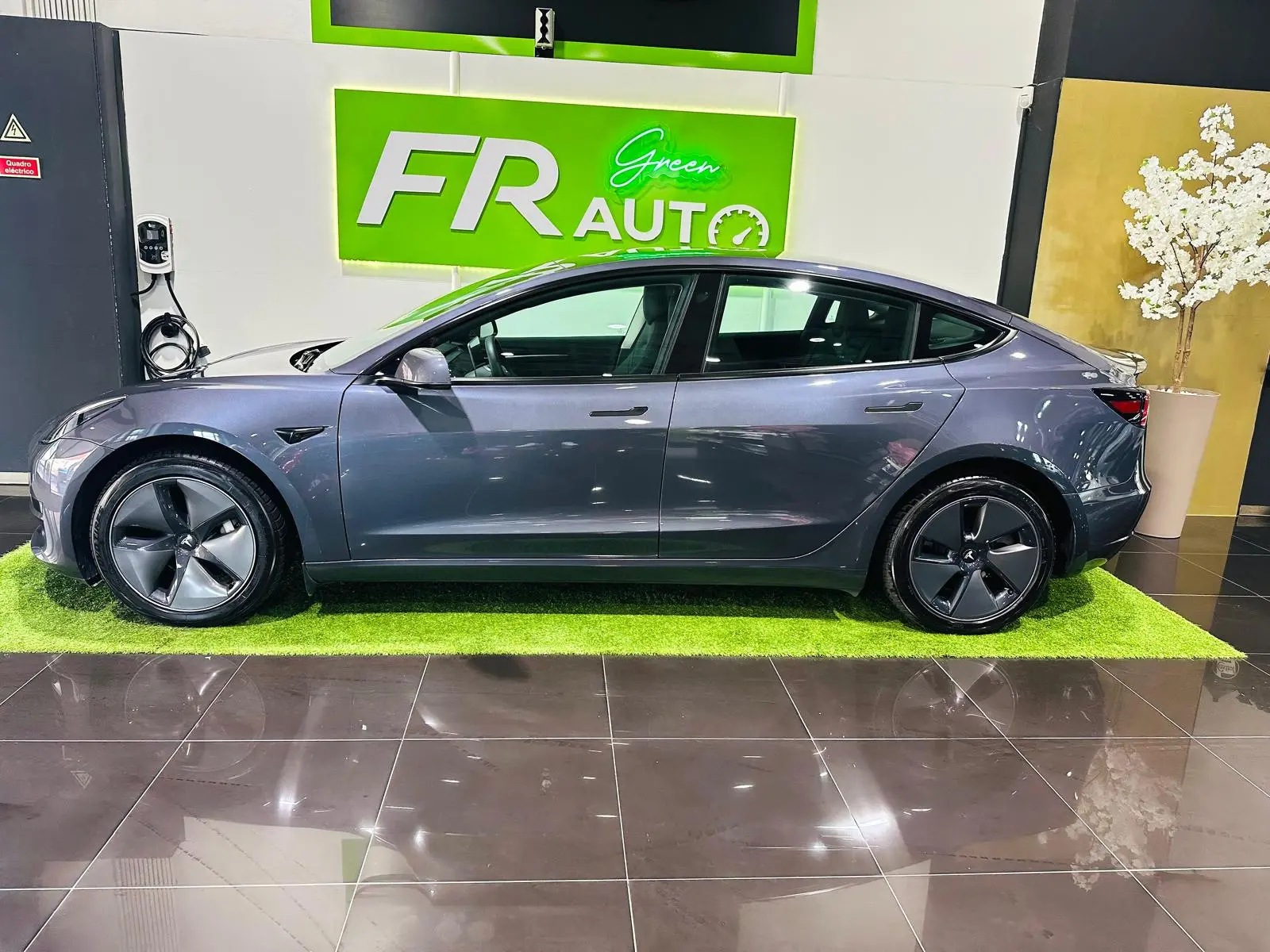 Tesla Model 3 Standard RWD Plus 5